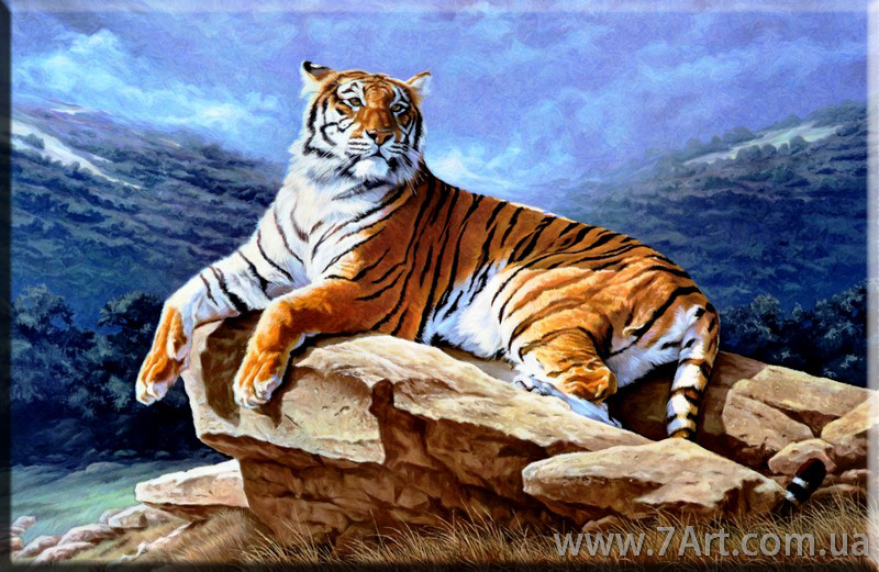 Картины Животных, Art. STUD1511542